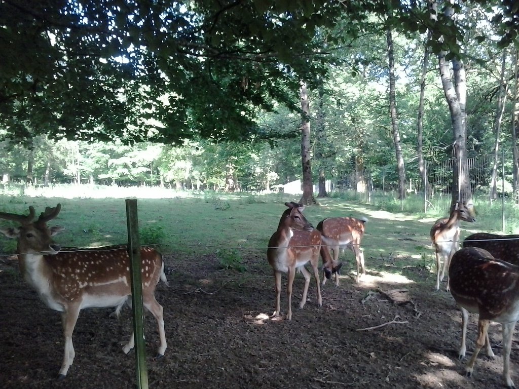 parc animalier